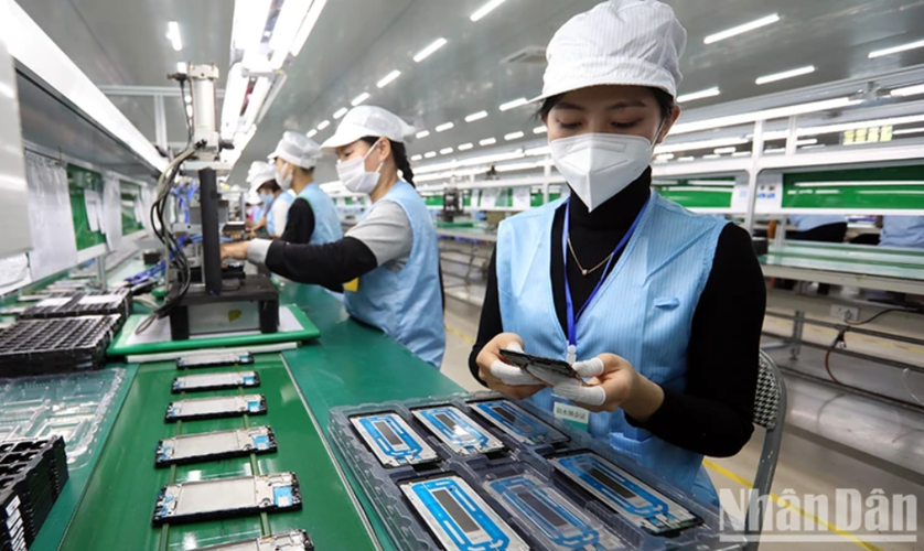Thu hồi đất đối với các dự án chây ỳ nợ thuế