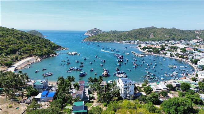 Hệ sinh thái rừng khô hạn độc đáo ở Khu Dự trữ sinh quyển thế giới Núi Chúa