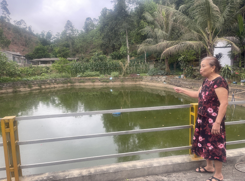 Thôn Làng Bông, xã Xuân Quang người dân bức xúc vì chịu ảnh hưởng của ô nhiễm do chăn nuôi