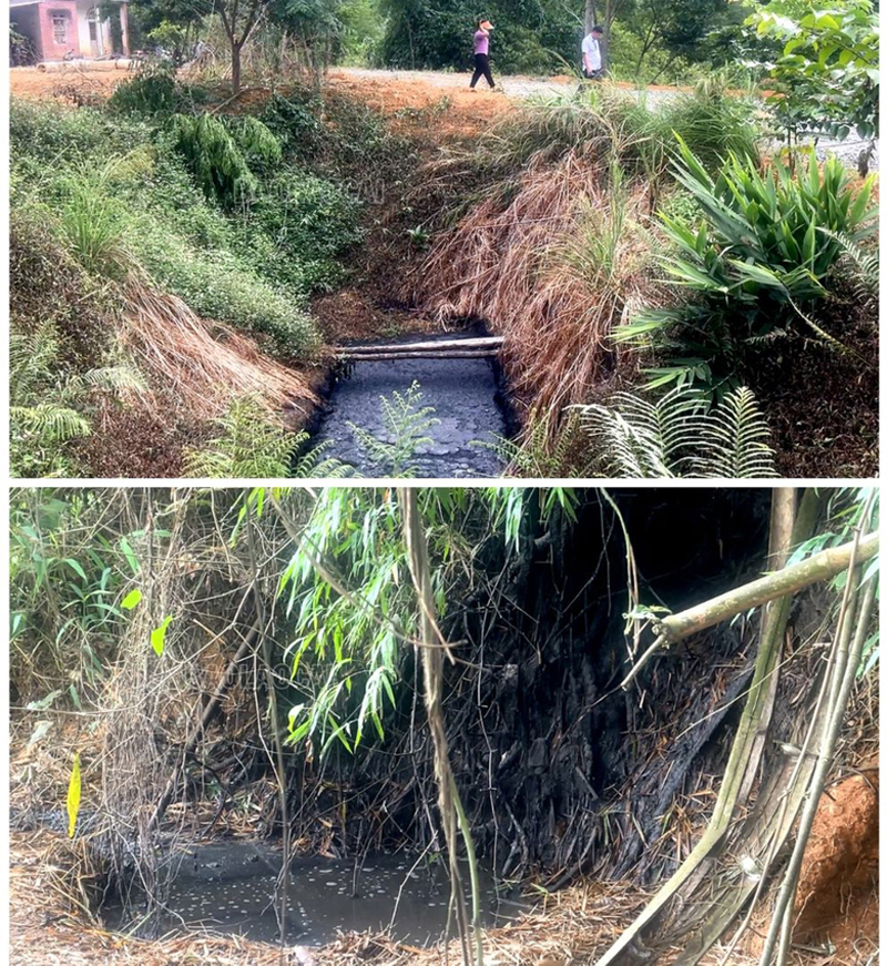 Thôn Làng Bông, xã Xuân Quang người dân bức xúc vì chịu ảnh hưởng của ô nhiễm do chăn nuôi