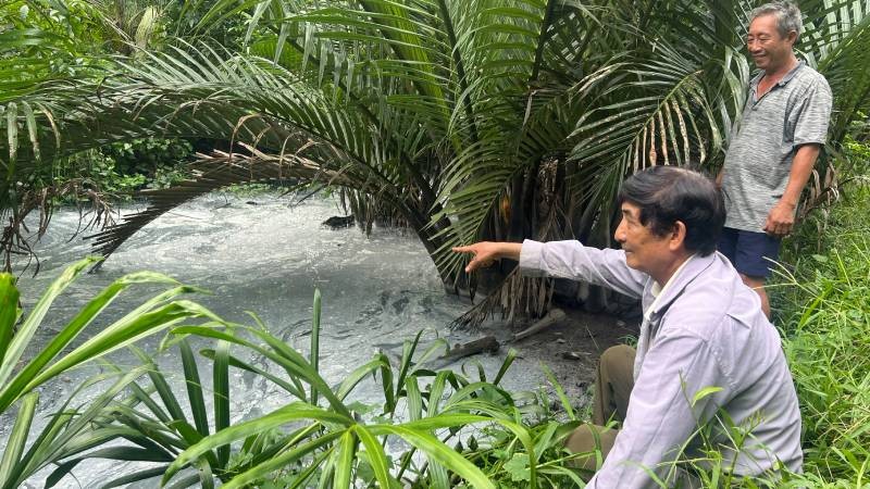 Cần sớm khắc phục tình trạng ô nhiễm môi trường từ sản xuất thạch dừa