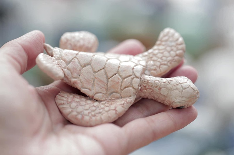 Ấn tượng triển lãm trưng bày 1.001 rùa biển làm từ gốm