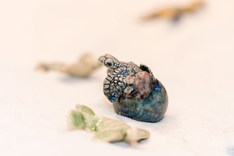 Ấn tượng triển lãm trưng bày 1.001 rùa biển làm từ gốm