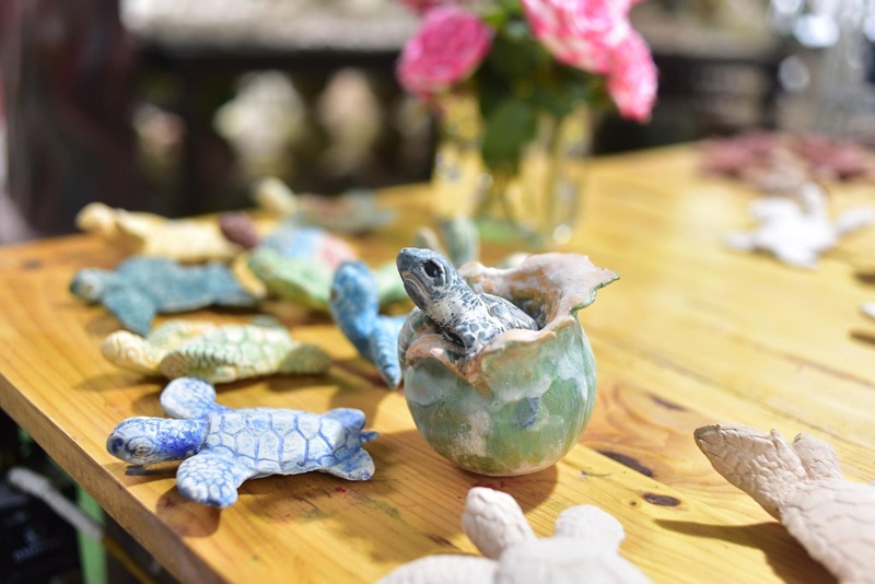 Ấn tượng triển lãm trưng bày 1.001 rùa biển làm từ gốm