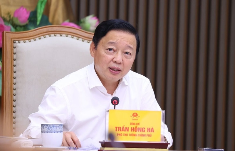 Hỗ trợ, đầu tư 'ra tấm, ra món' cho vùng quy hoạch trồng lúa có năng suất, chất lượng cao