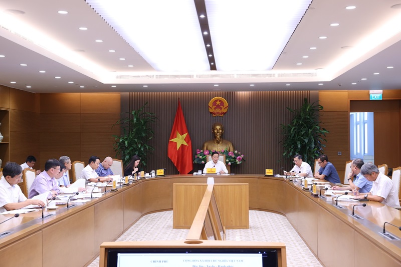 Hỗ trợ, đầu tư 'ra tấm, ra món' cho vùng quy hoạch trồng lúa có năng suất, chất lượng cao