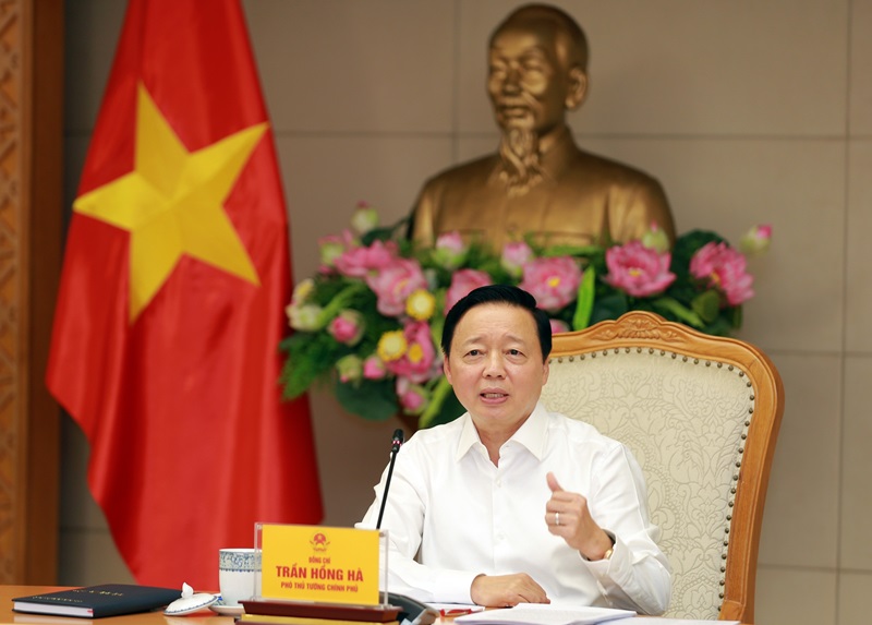 Mở rộng các nguồn điện tái tạo được mua bán trực tiếp