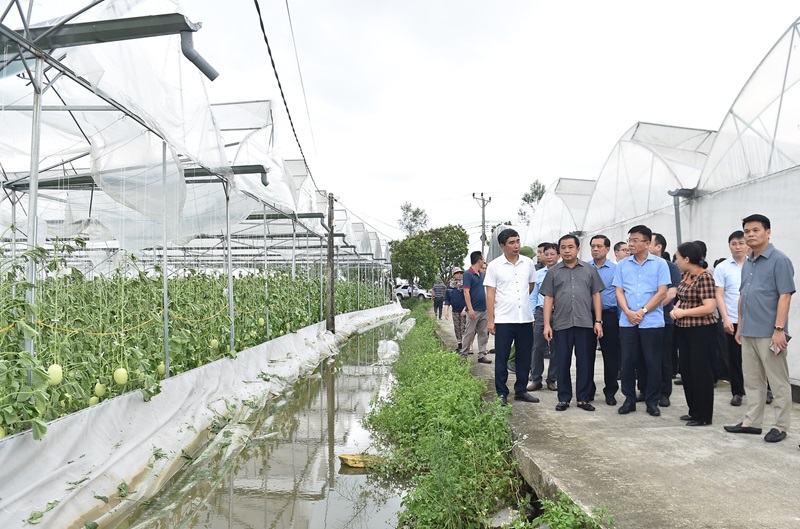 Phó Thủ tướng Lê Thành Long kiểm tra công tác khắc phục hậu quả bão số 3 tại Hải Dương