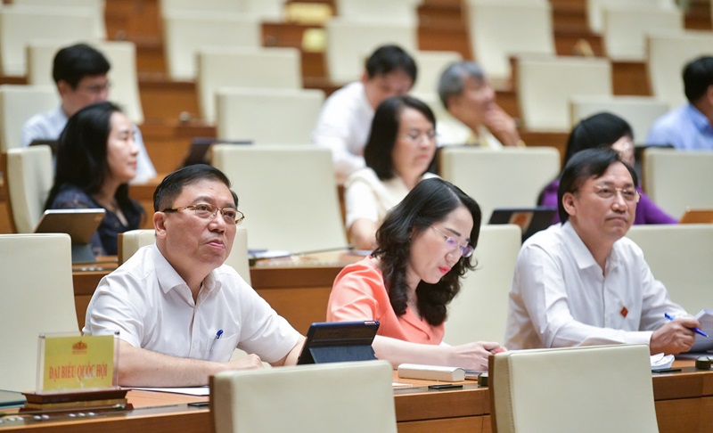 Phó Thủ tướng Lê Thành Long làm rõ thêm một số vấn đề liên quan thuộc trách nhiệm của Chính phủ