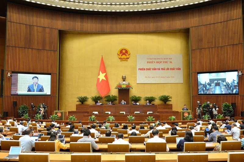 Phó Thủ tướng Lê Thành Long làm rõ thêm một số vấn đề liên quan thuộc trách nhiệm của Chính phủ