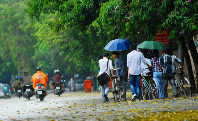 Thời tiết ngày 2/8: Bắc Bộ và Trung Bộ rải rác có mưa, Tây Nguyên và Nam Bộ chiều tối và đêm mưa dông