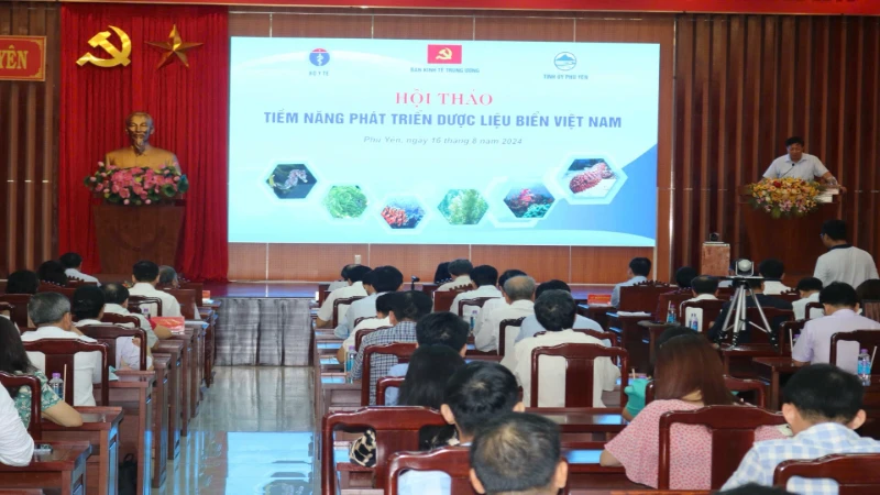Phú Yên khai thác tiềm năng dược liệu biển