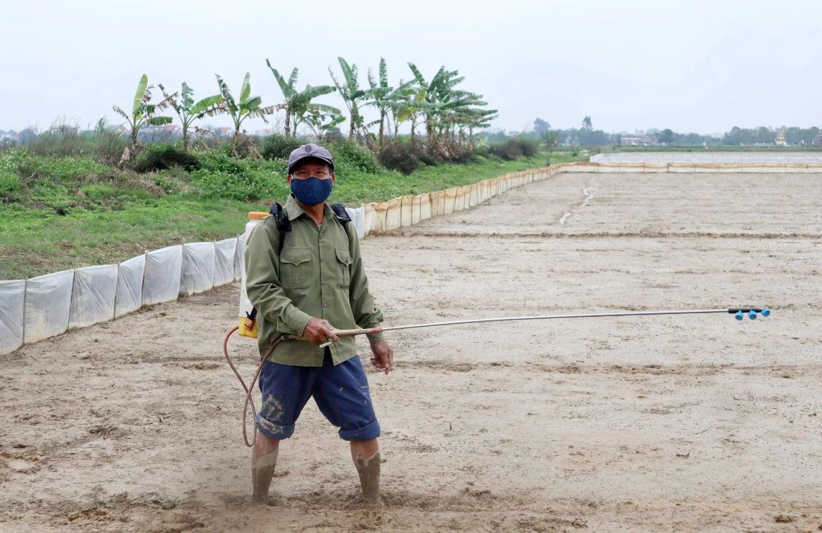 Người nông dân hạnh phúc trên cánh đồng không rác thải