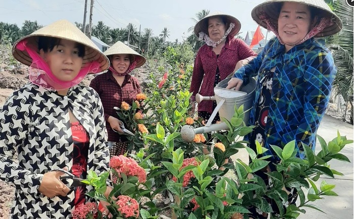 Phụ nữ Cù Lao Dung bảo vệ môi trường gắn với xây dựng nông thôn mới
