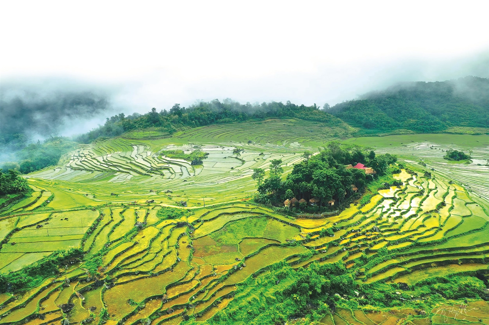 Khai mỏ vàng xanh