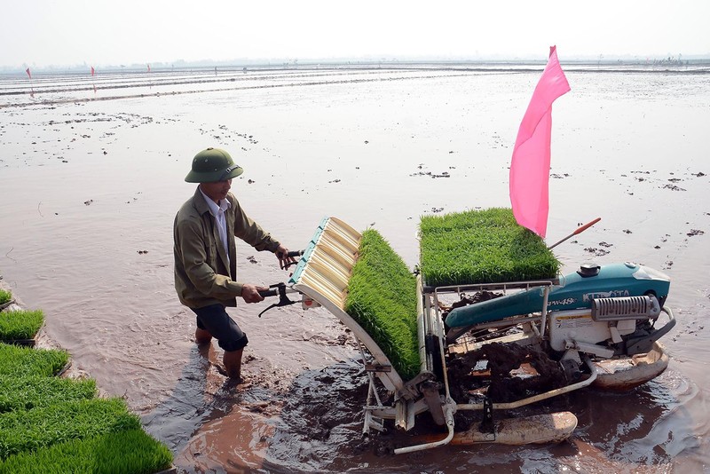 Khắc phục những bất cập sau dồn điền, đổi thửa
