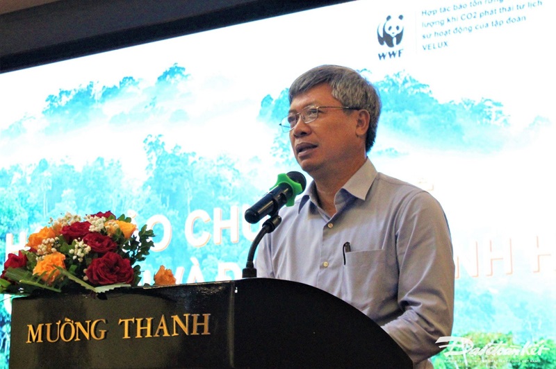 Quảng Nam: Nỗ lực tham gia thị trường carbon để giữ rừng
