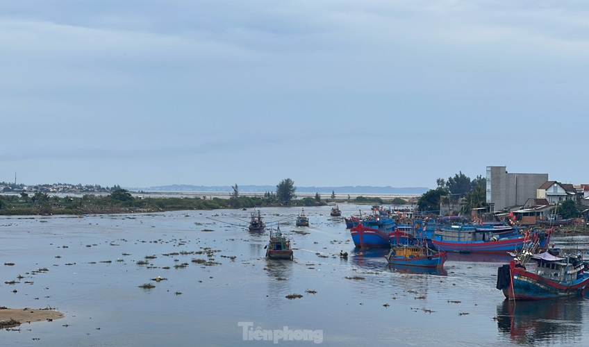 Cửa biển bồi lấp, hàng trăm tàu cá Quảng Ngãi phải 'ly hương'