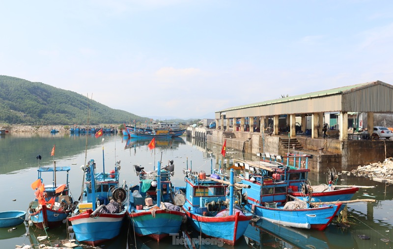 Cửa biển bồi lấp, hàng trăm tàu cá Quảng Ngãi phải 'ly hương'