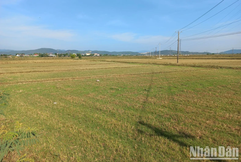 Quảng Ngãi triển khai nhiều giải pháp ứng phó hạn hán