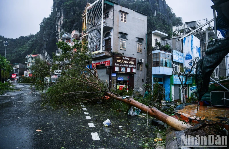 Quảng Ninh: Bão số 3 khiến 17 người thiệt mạng, 536 người bị thương