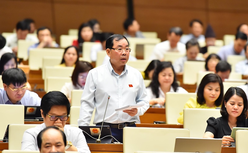 Đề xuất giám sát về bảo vệ môi trường, nguồn nhân lực trong năm 2025