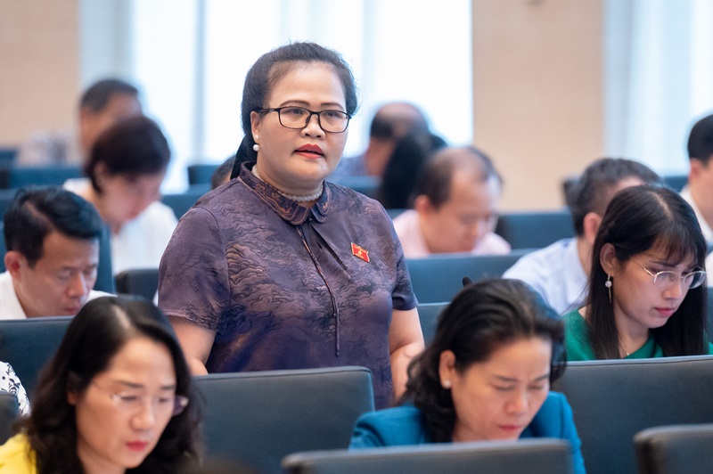 Hội nghị đại biểu Quốc hội hoạt động chuyên trách thảo luận về dự án Luật Địa chất và khoáng sản