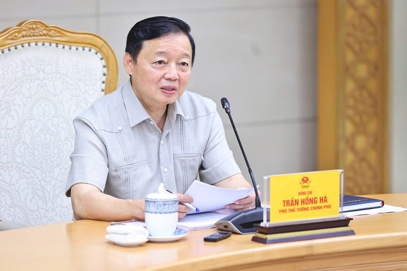 Quy hoạch chi tiết nhóm cảng biển để trở thành 'đất lành' cho các hãng tàu lớn