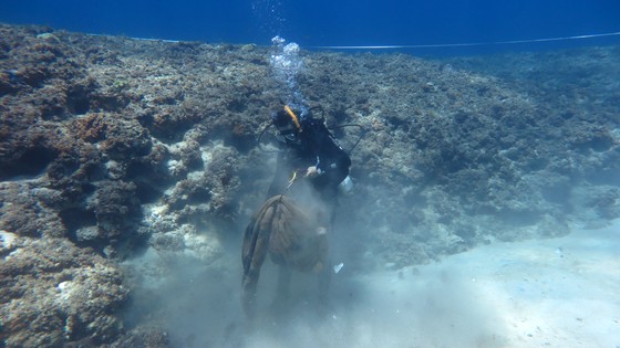 Lặn biển gom rác, làm sạch rạn san hô đảo Lý Sơn