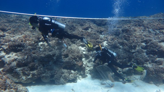 Lặn biển gom rác, làm sạch rạn san hô đảo Lý Sơn