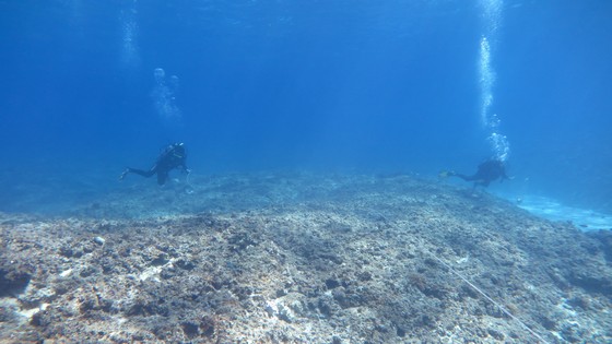 Lặn biển gom rác, làm sạch rạn san hô đảo Lý Sơn