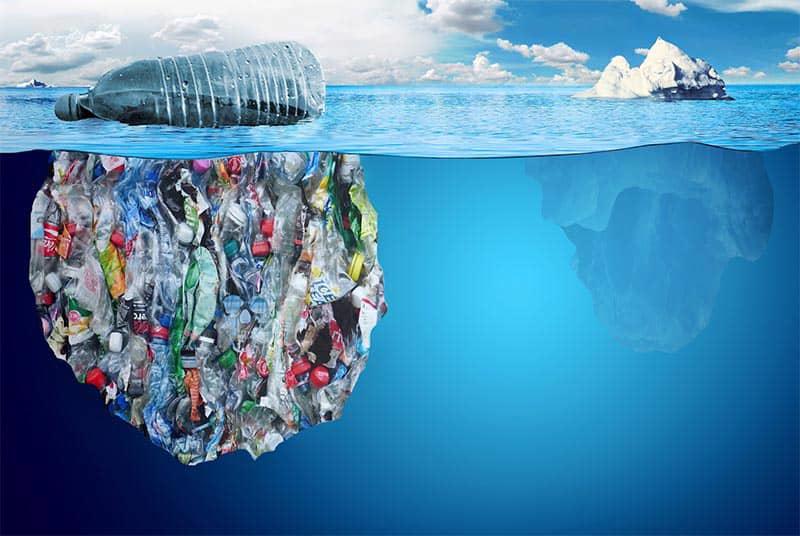 WWF- Việt Nam ghi nhận hiệu quả các mô hình giảm thiểu rác thải nhựa đại dương trong lĩnh vực thuỷ sản