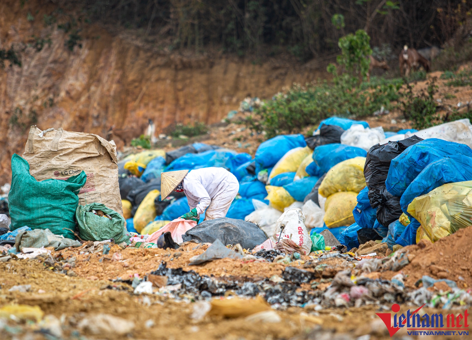 Núi rác tồn tại hàng chục năm ở Vĩnh Phúc gây ô nhiễm môi trường