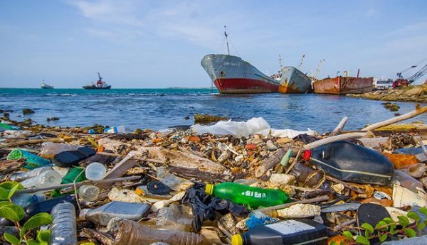 WWF kêu gọi thế giới hành động chống rác thải nhựa đại dương