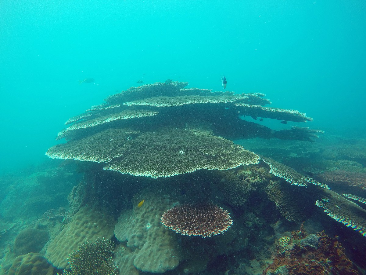 Vườn Quốc gia Côn Đảo nhận giấy chứng nhận Vườn Di sản ASEAN