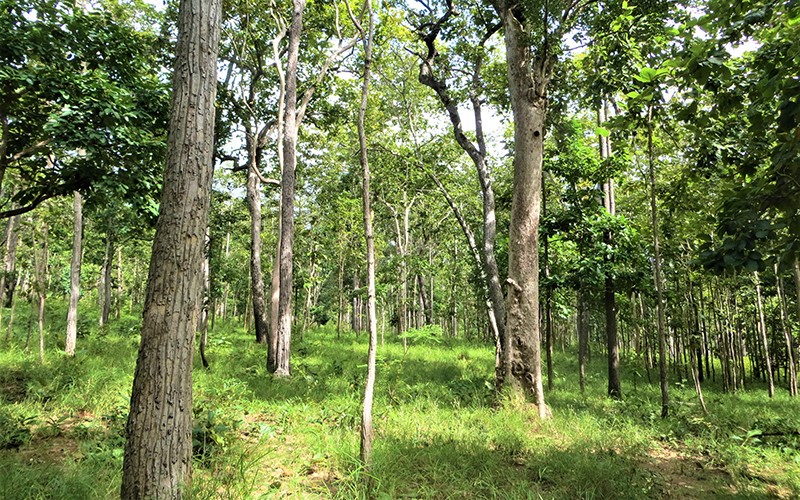 Ngăn chặn xu hướng gia tăng ô nhiễm, suy thoái môi trường