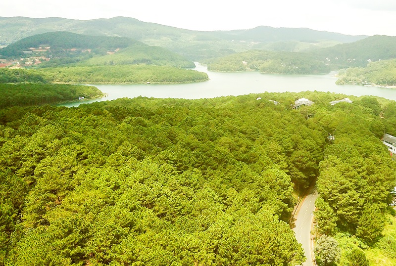 Tín chỉ carbon - Giải pháp khôi phục rừng Tây Nguyên: “Mỏ vàng” chưa được đánh thức