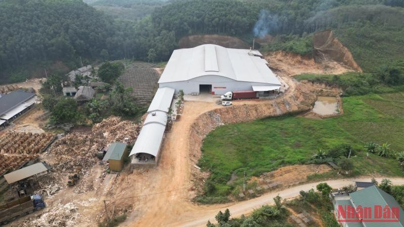 Phú Thọ: Nhiều xưởng chế biến gỗ không phép ngang nhiên hoạt động