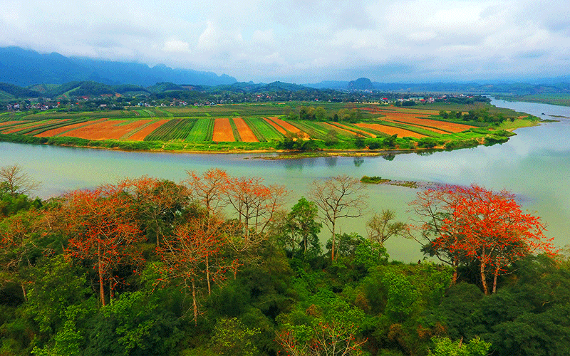 Ngăn chặn suy giảm đa dạng sinh học
