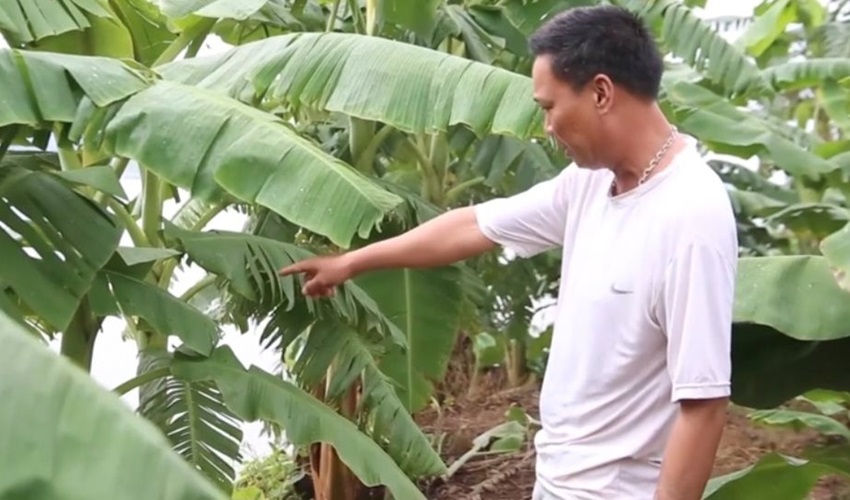 Phú Thọ: Bờ sông Đà sạt lở khiến người dân lo lắng