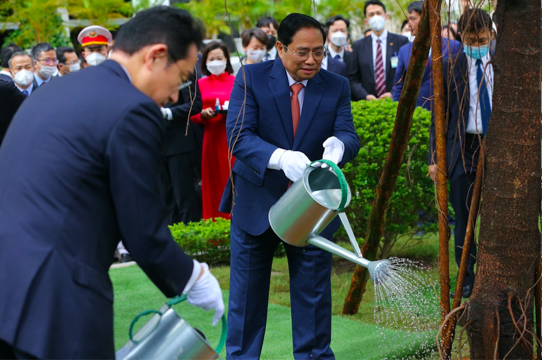 Thủ tướng Phạm Minh Chính và Thủ tướng Kishida Fumio cùng trồng cây lưu niệm