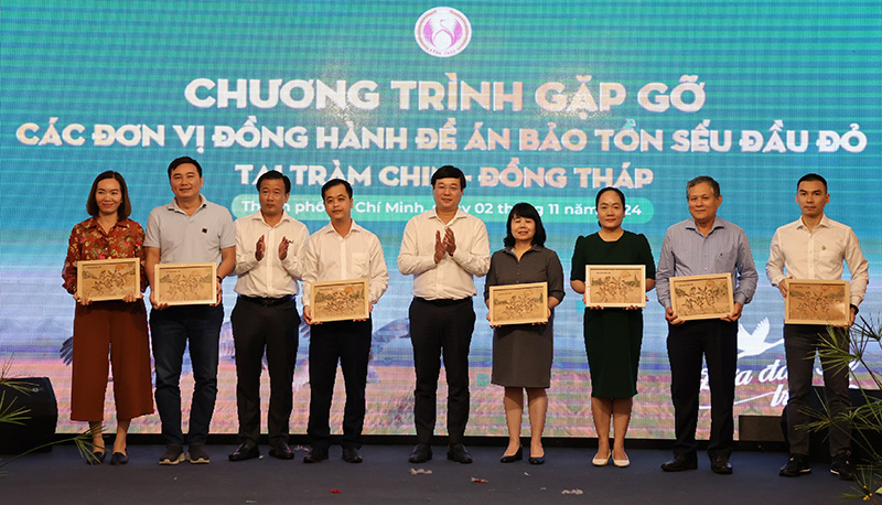 Đồng Tháp: Cộng đồng chung tay đưa đàn sếu trở về