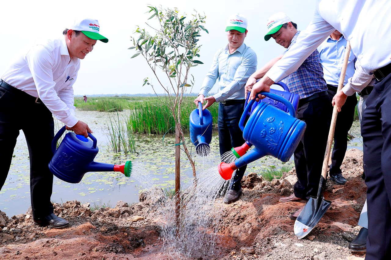 Phục hồi đa dạng sinh học là bảo vệ sự sống trên trái đất