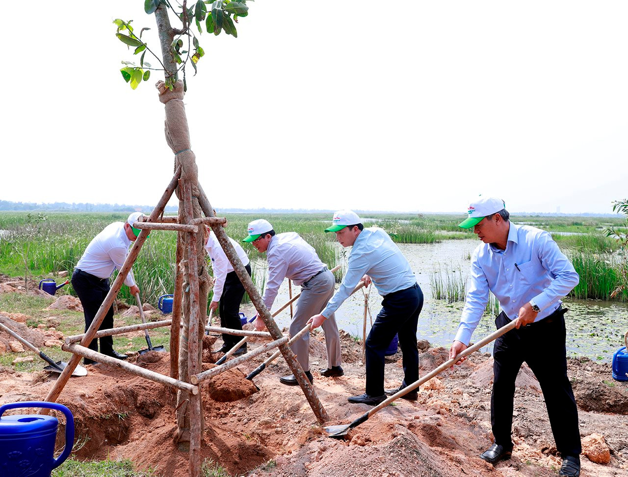 Phục hồi đa dạng sinh học là bảo vệ sự sống trên trái đất