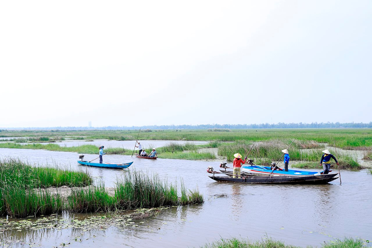 Phục hồi đa dạng sinh học là bảo vệ sự sống trên trái đất