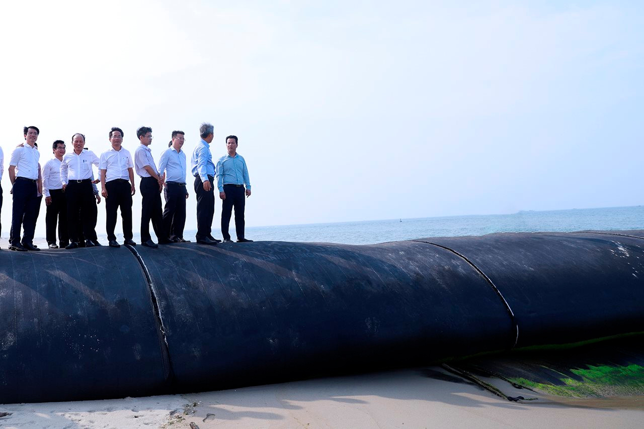 Phục hồi đa dạng sinh học là bảo vệ sự sống trên trái đất