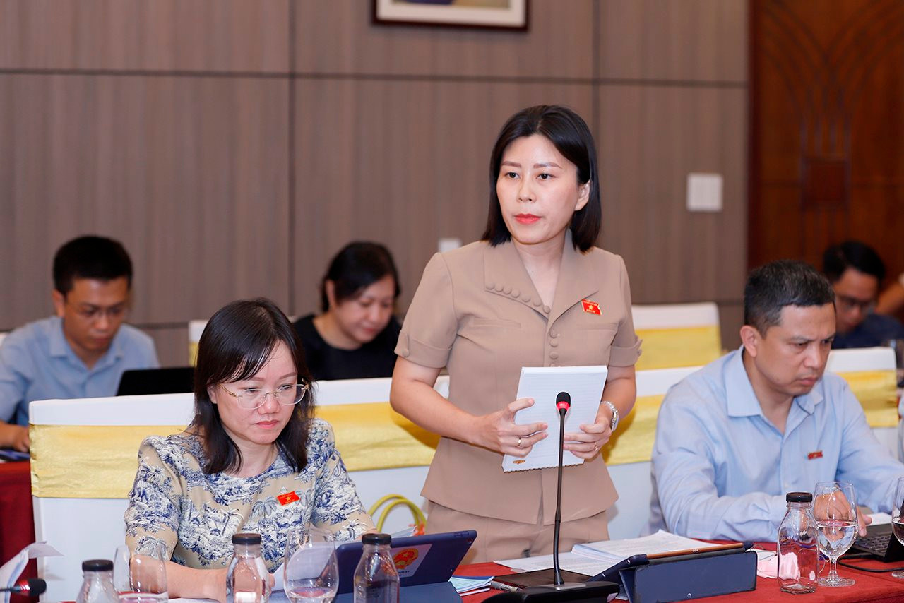 Xây dựng Luật Địa chất và Khoáng sản hướng tới mục tiêu phát triển bền vững