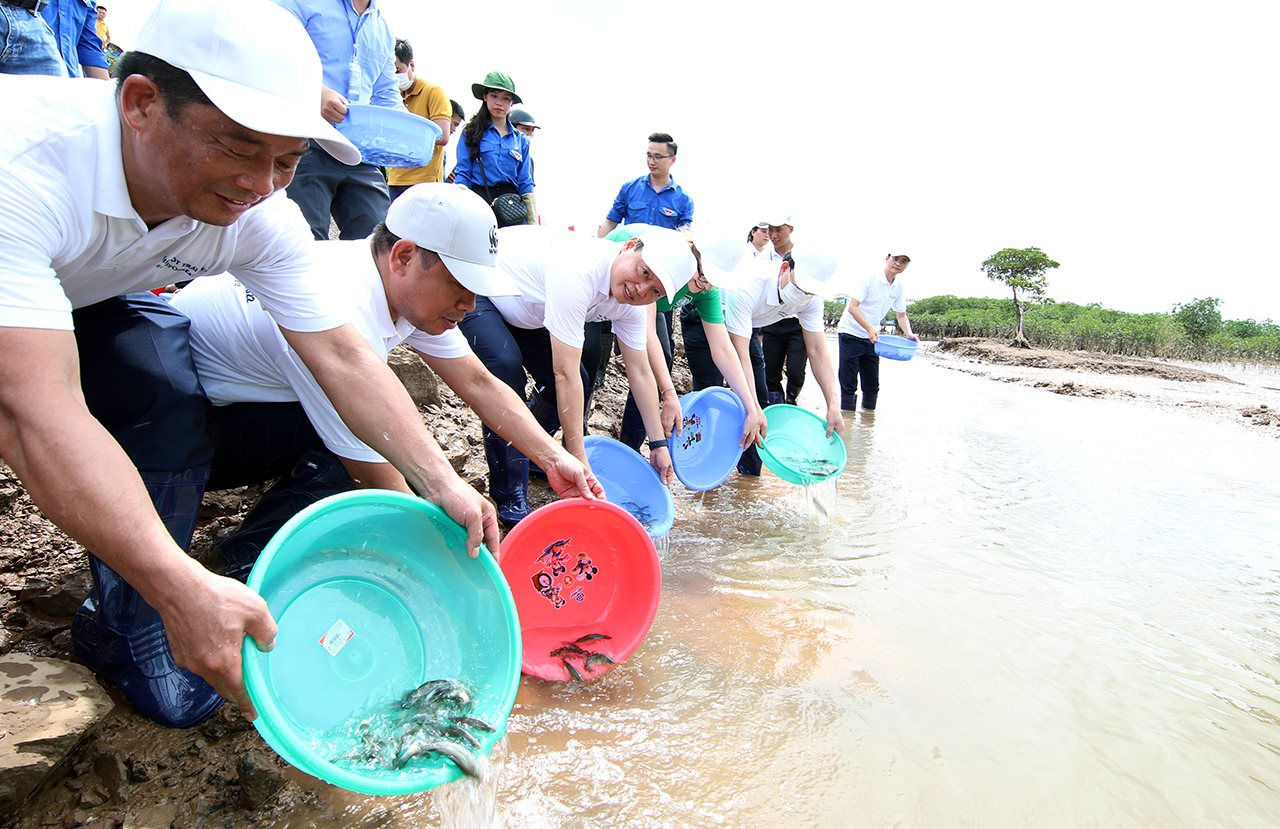 Hưởng ứng ngày Quốc tế đa dạng sinh học (22/5); Ngày môi trường thế giới (5/6) và Tháng hành động vì môi trường năm 2022