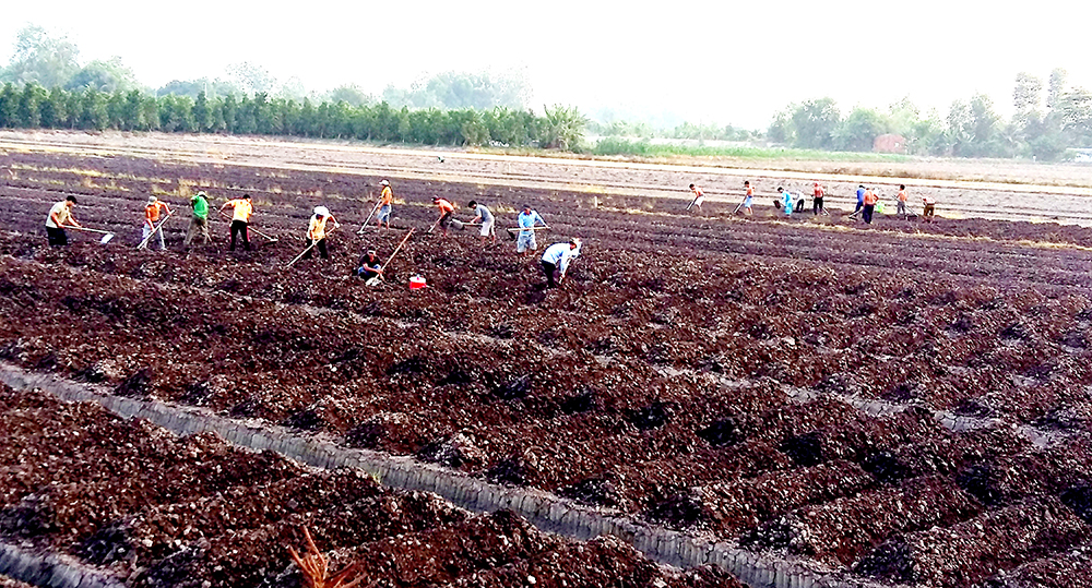 An Giang: Kết quả nổi bật của ngành tài nguyên và môi trường