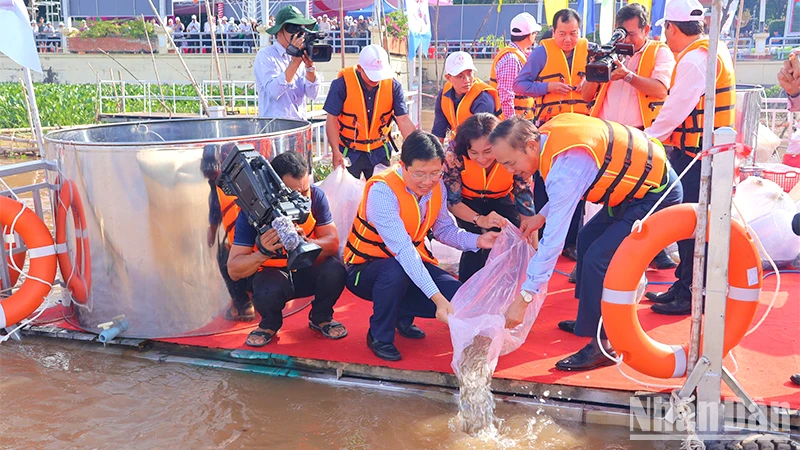 Ba tỉnh, thành phố vùng Tây Nam Bộ thả cá tái tạo nguồn lợi thủy sản
